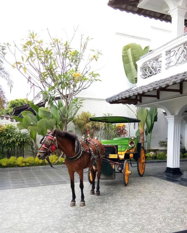 Raintree Boutique Villa & Gallery Джокьякарта Экстерьер фото